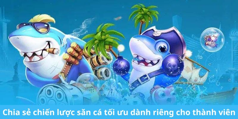 Chia sẻ chiến lược săn cá tối ưu dành riêng cho thành viên